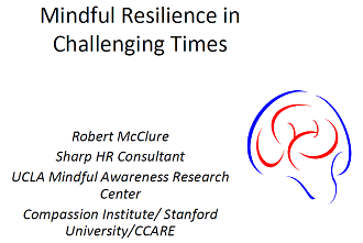 SGH GR: Mindful Resilience in Challenging Times (Online) Banner